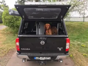 dachzeltnomaden ausbau des Autos für den Hund