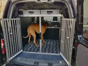 hundebox kofferraum auto mit hund