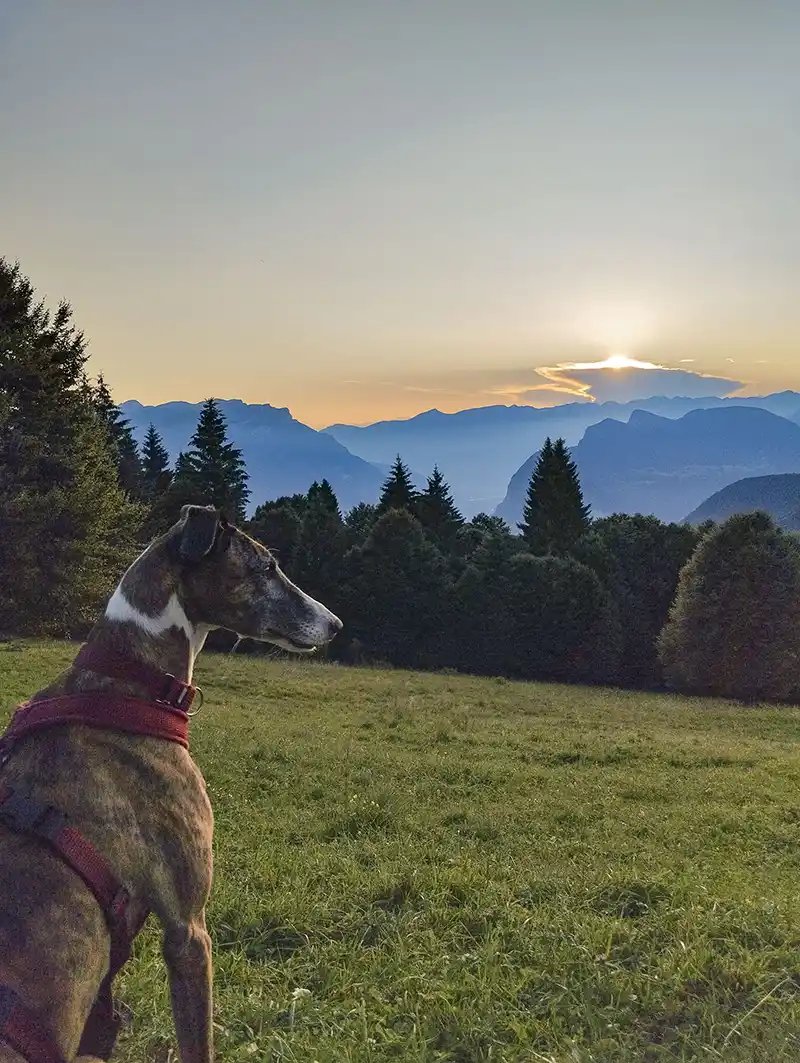 DACHZELT CAMP Italia Forte Leone
