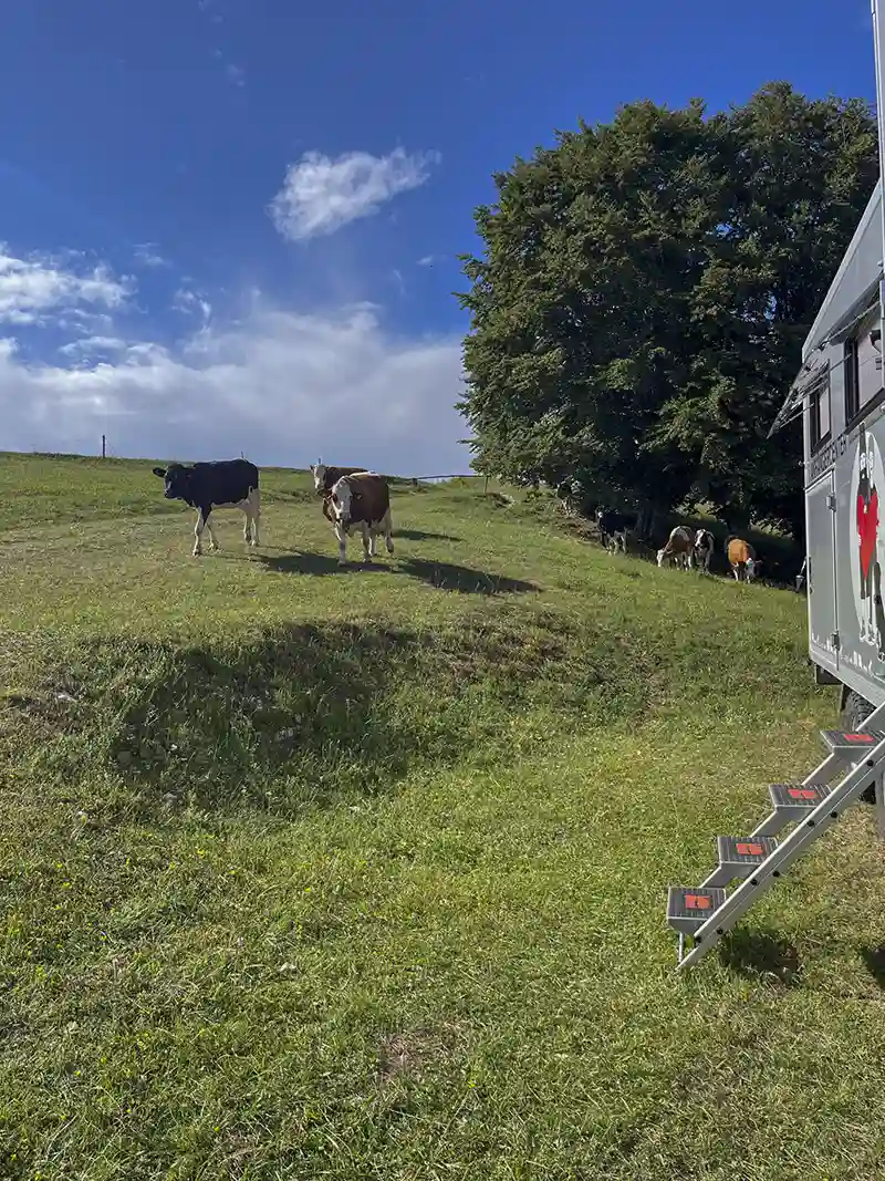 DACHZELT CAMP Italia Forte Leone