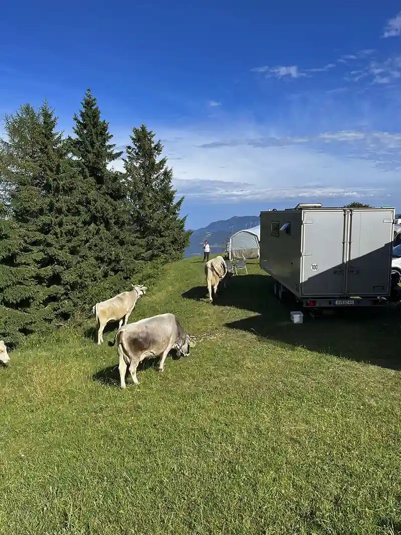 DACHZELT CAMP Italia Forte Leone