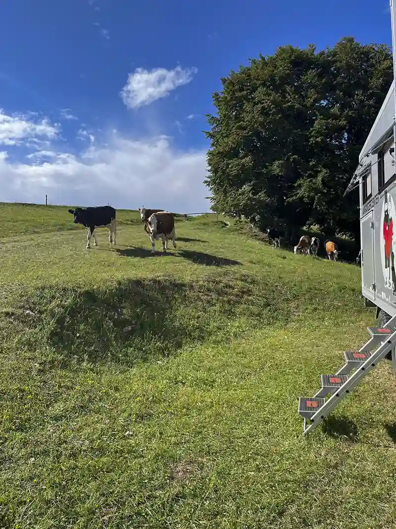 DACHZELT CAMP Italia Forte Leone