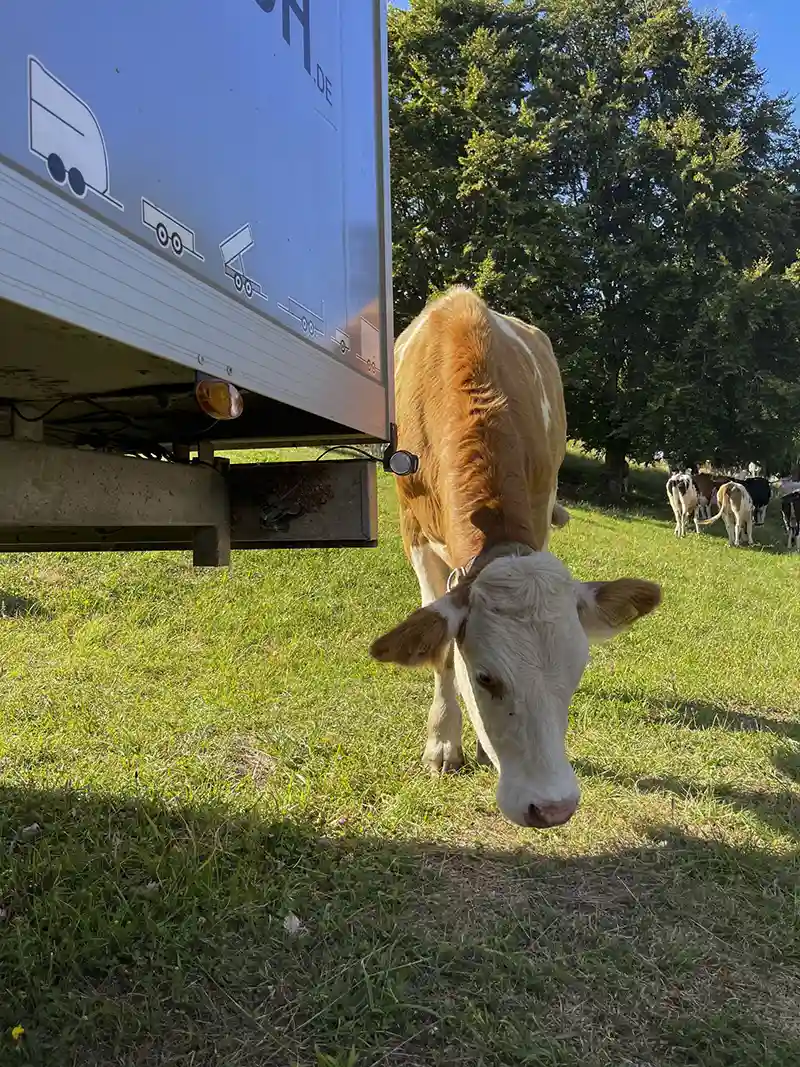 DACHZELT CAMP Italia Forte Leone