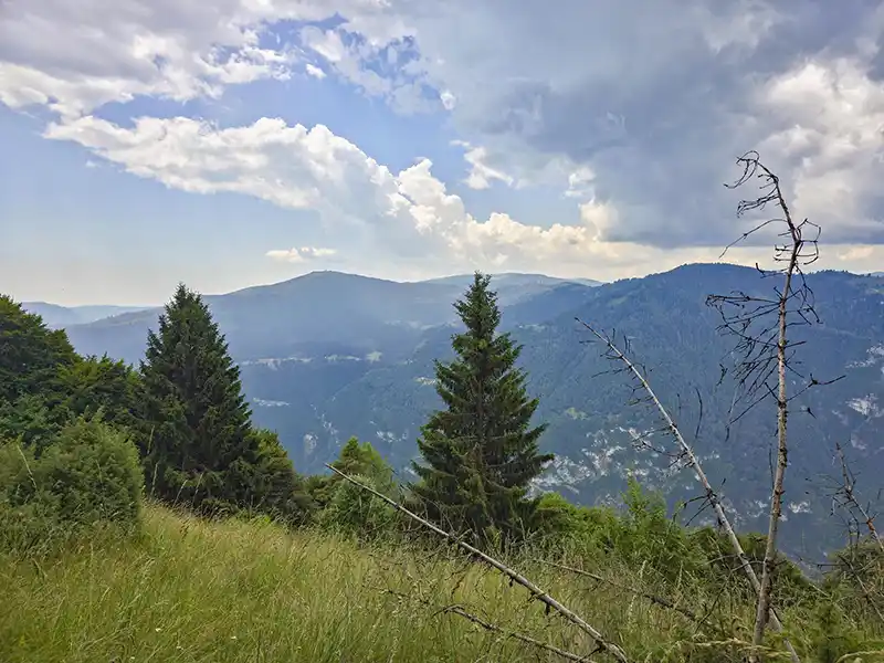 DACHZELT CAMP Italia Forte Leone