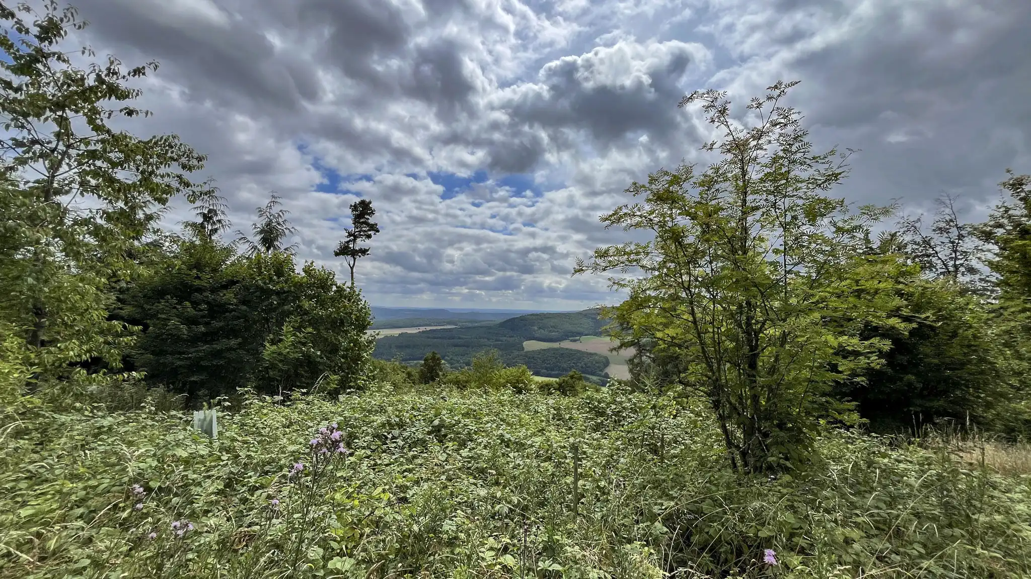 DACHZELT Sommer CAMP 2025 Gebaberg