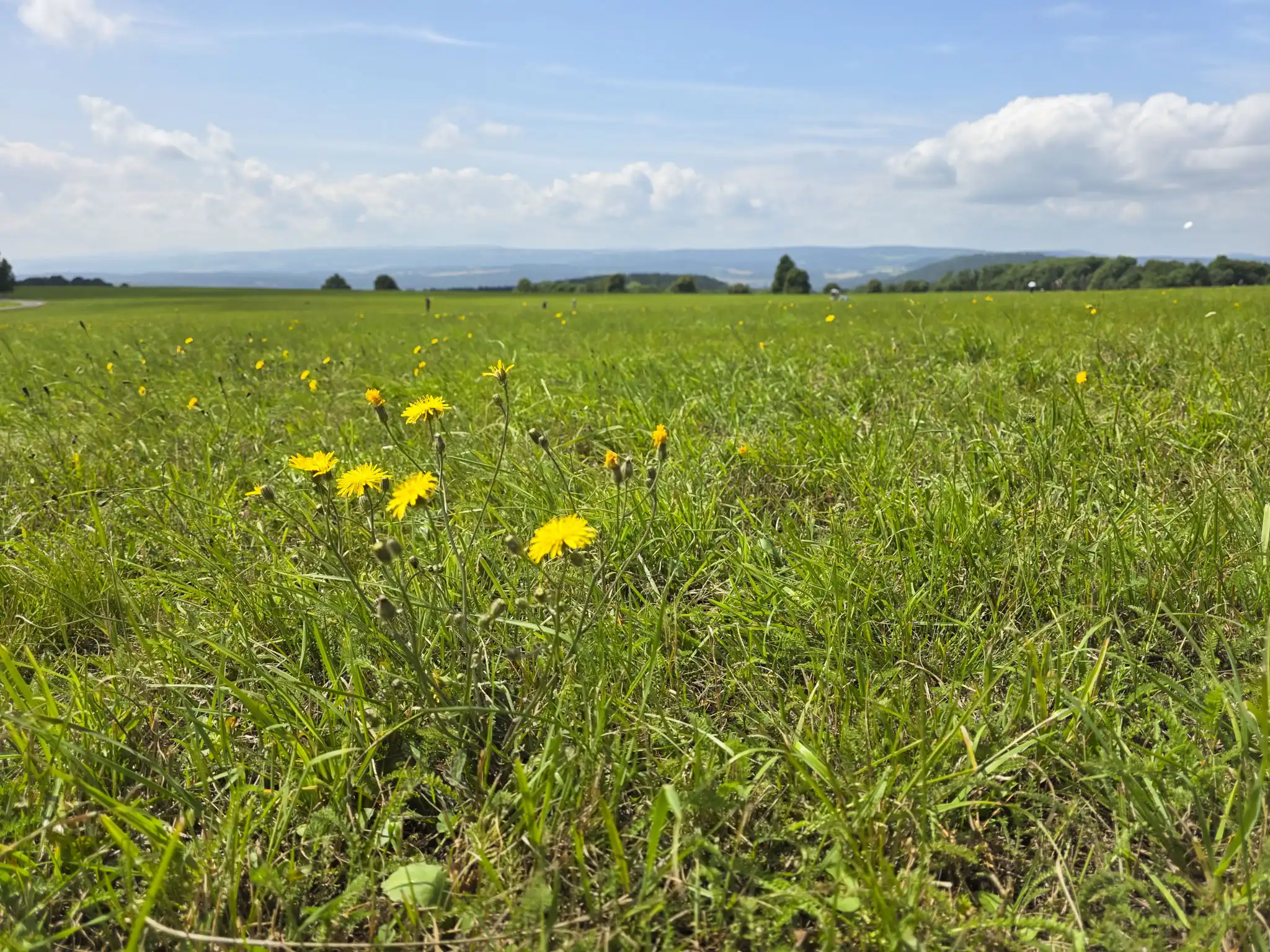 DACHZELT Sommer CAMP 2025 Aussicht