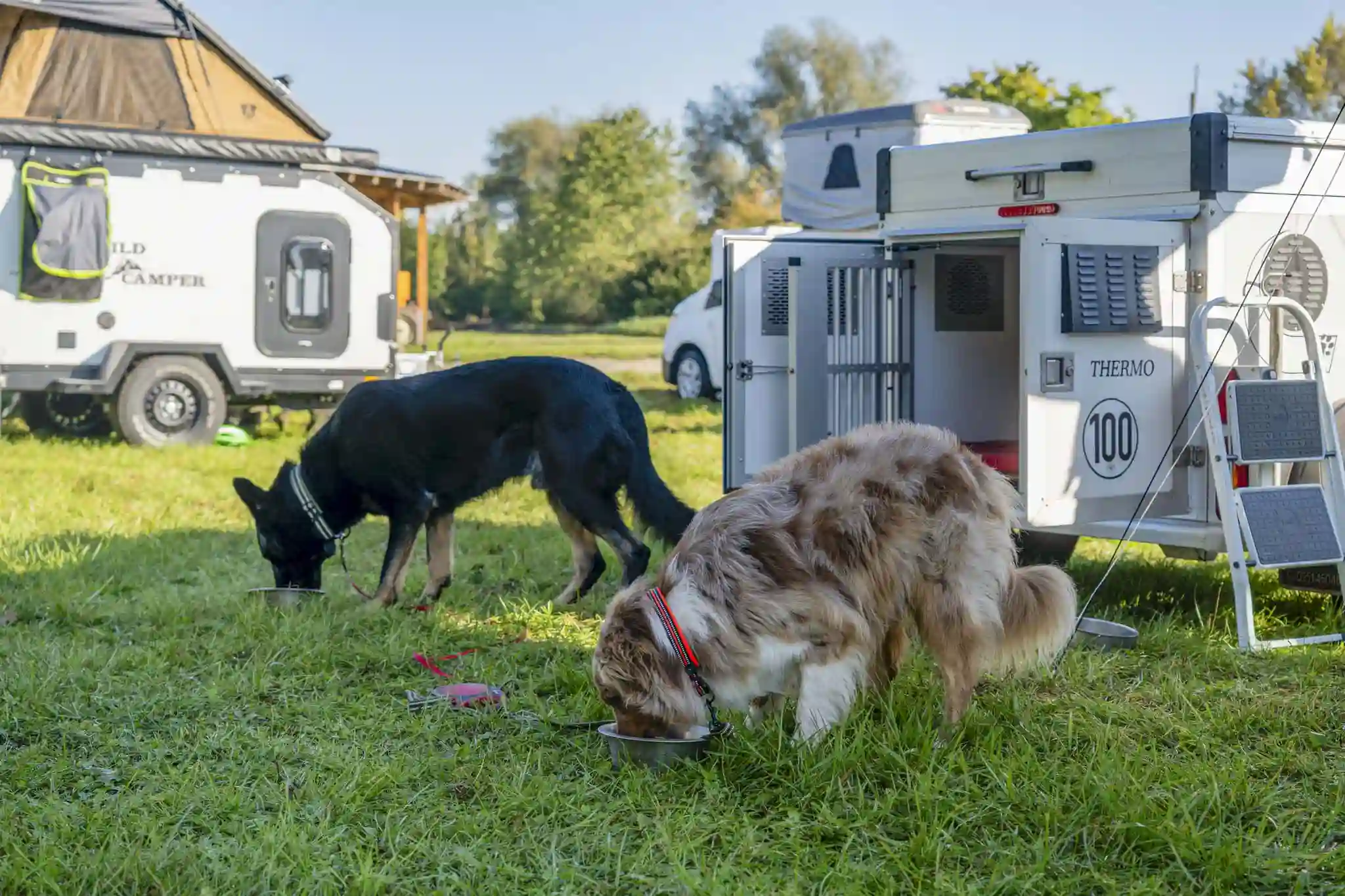 DACHZELT CAMP Bayern 25 Camp Area