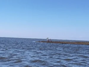 dachzelt reise rumaenien roadtrip finja pelikane