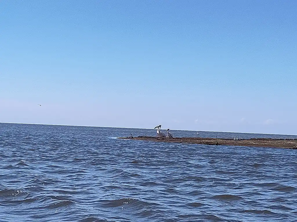 dachzelt reise rumaenien roadtrip finja pelikane