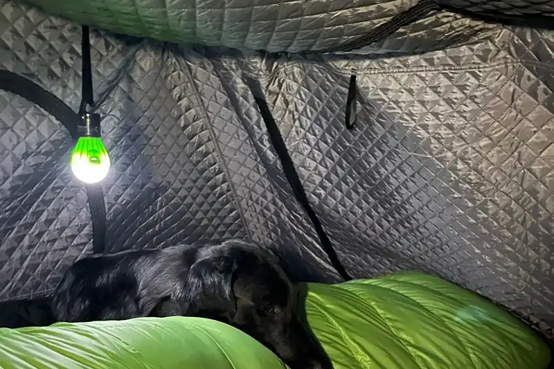 dachzeltnomaden-moby-mountain-dachzelte-peak-thermo-innenzelt-kaufen moby mountain peak hybriddachzelt thermo innenzelt kaufen