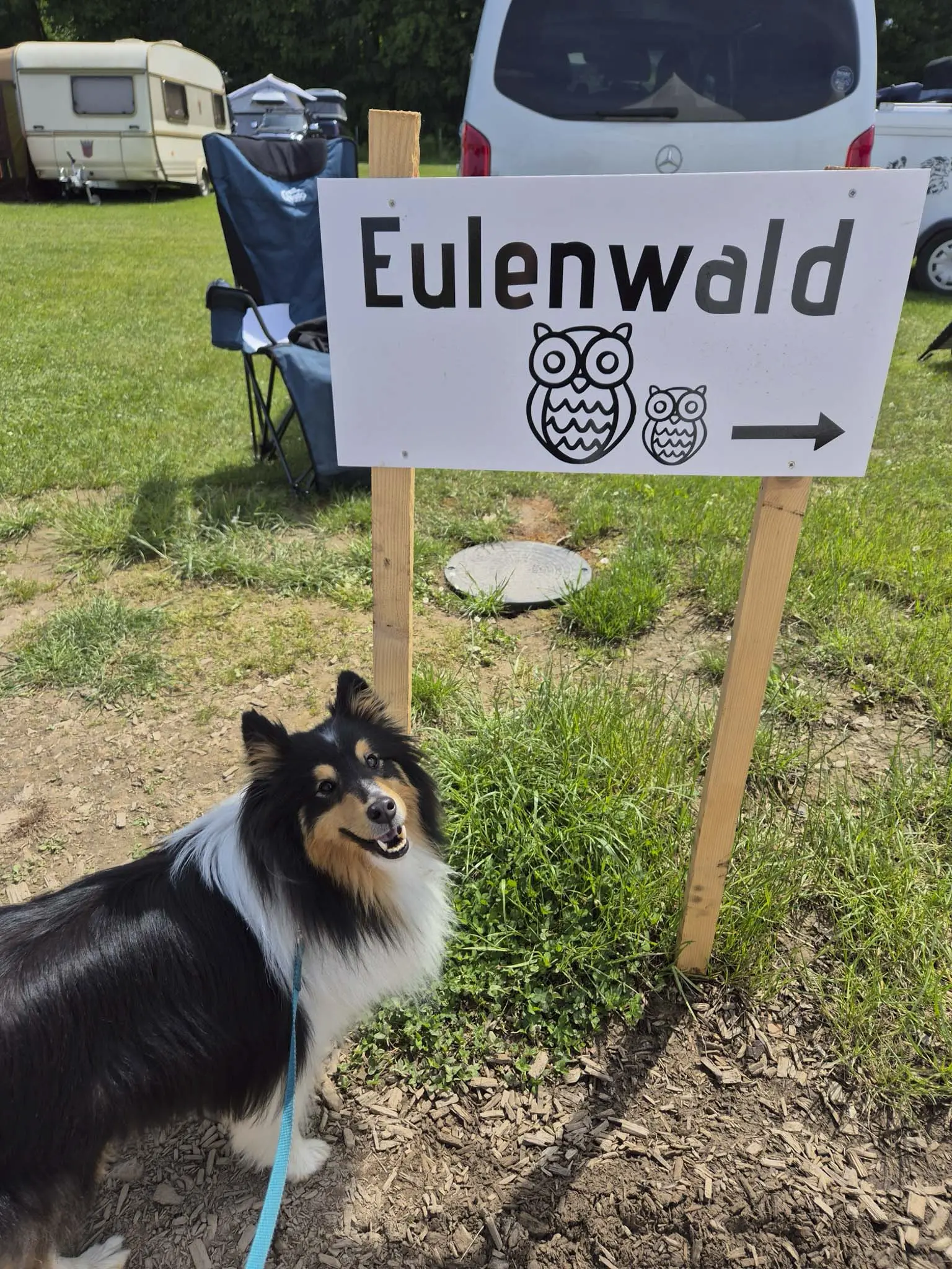 DACHZELT FESTIVAL 2026 Camp
