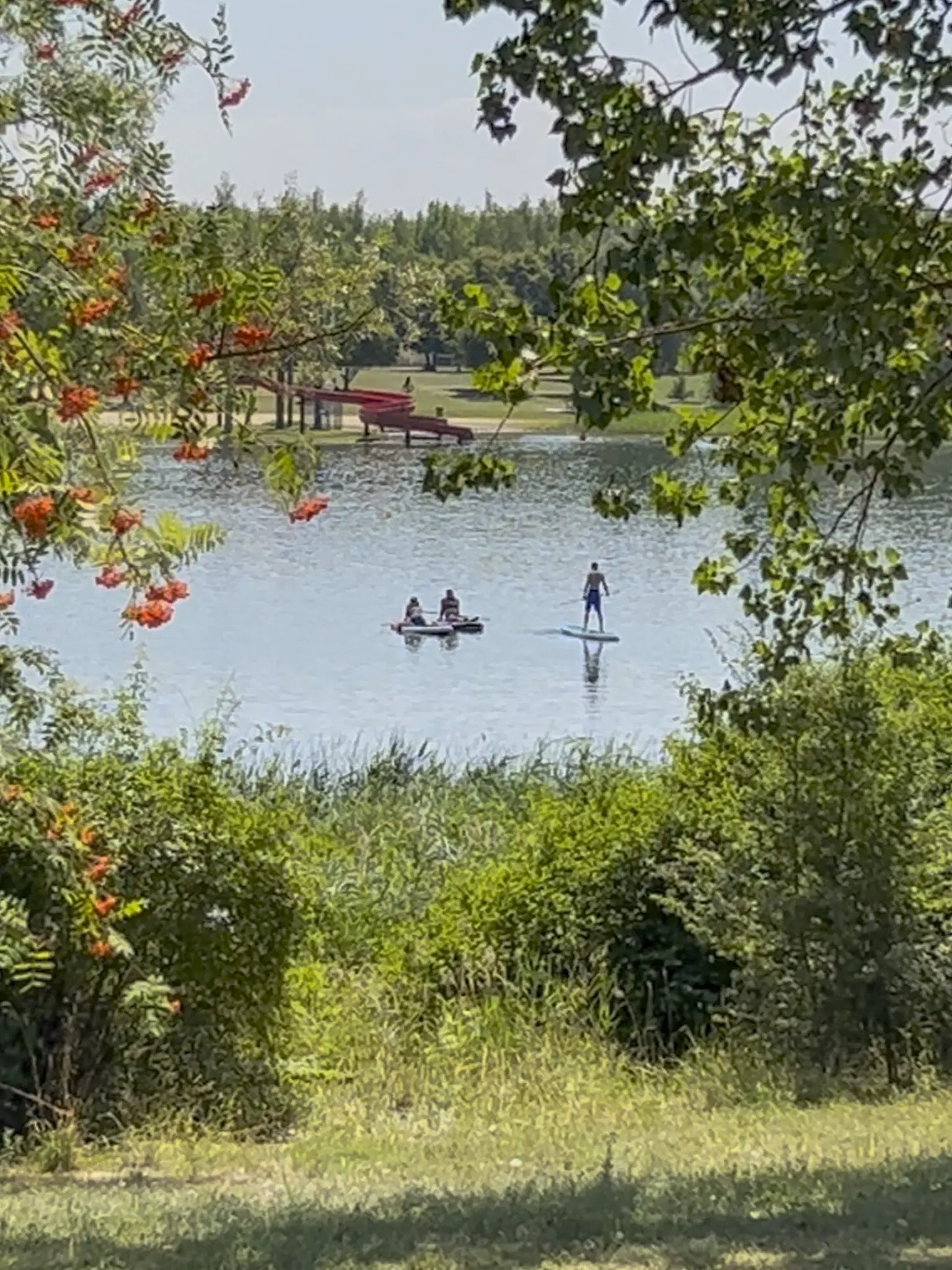 Zugang von der Campwiese zum Mondsee beim DACHZELT Sommer CAMP